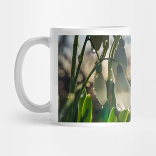 wide Galantus Mug